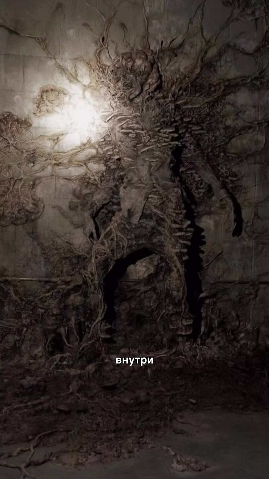 @тгк кружок всратых интересов