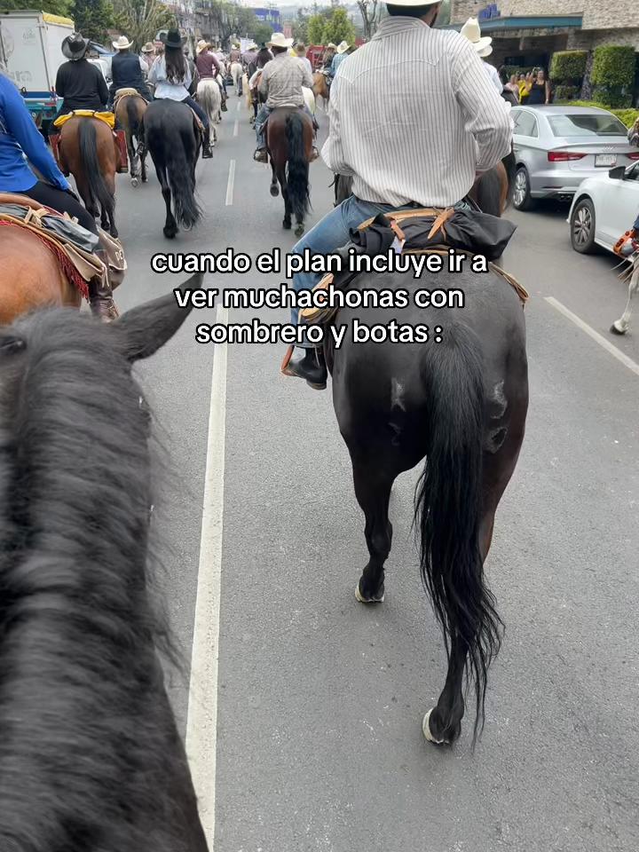 @Carlos_favela7