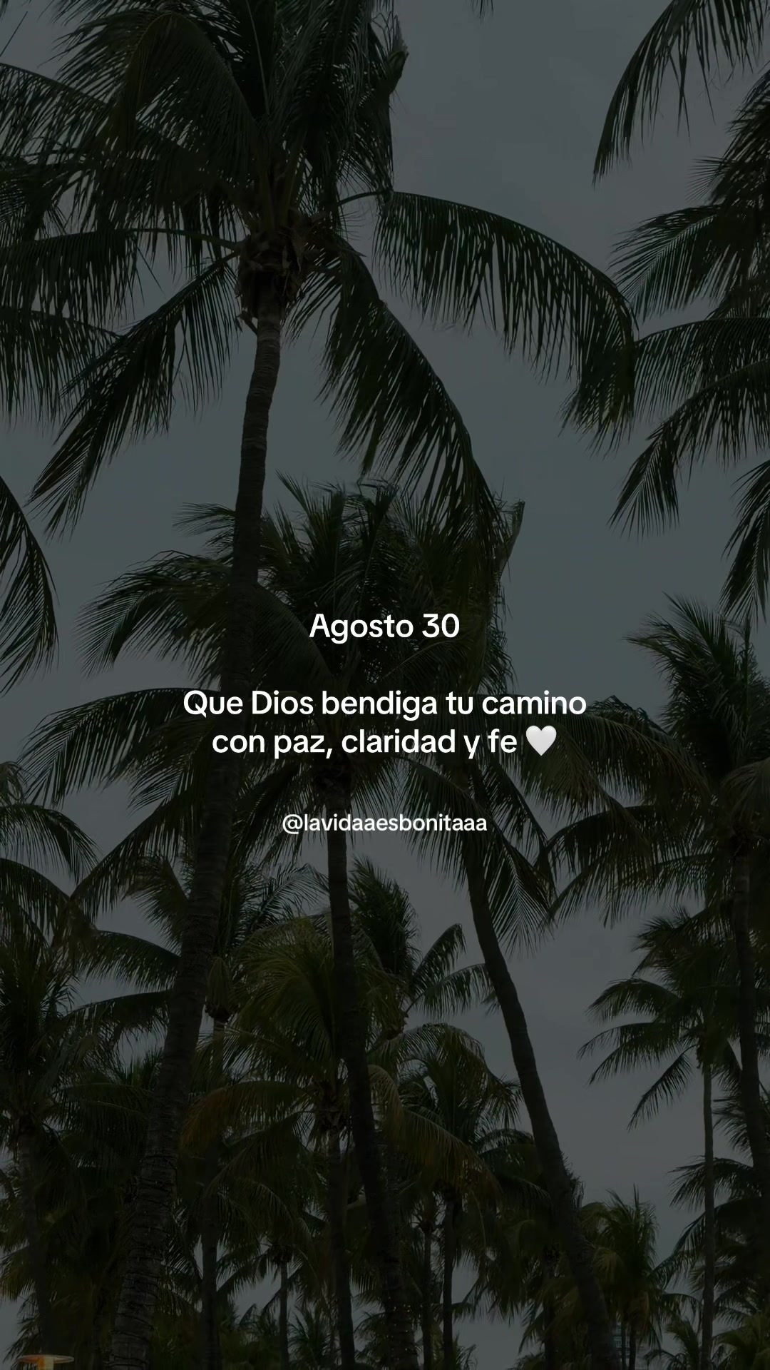 @vidabonita❤️🩹