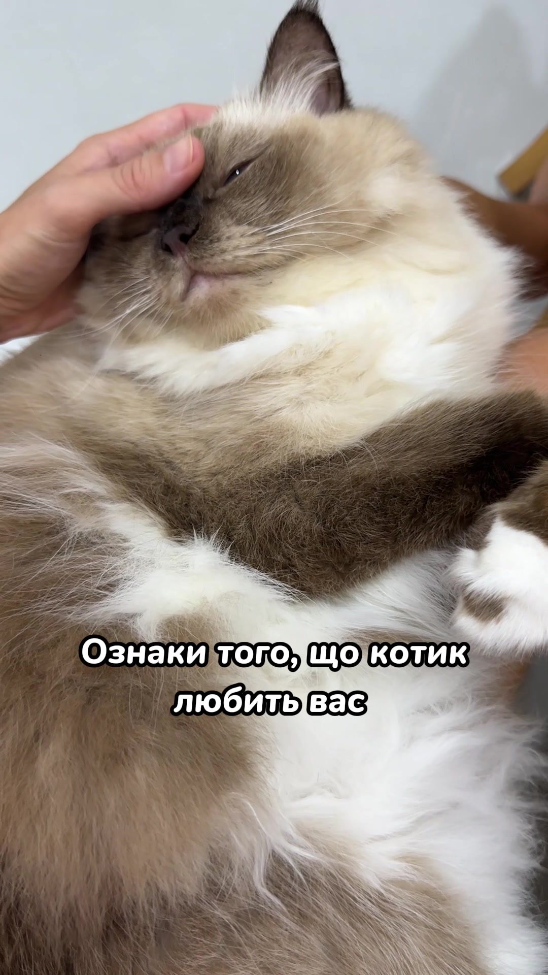 @Місс КІСЯ