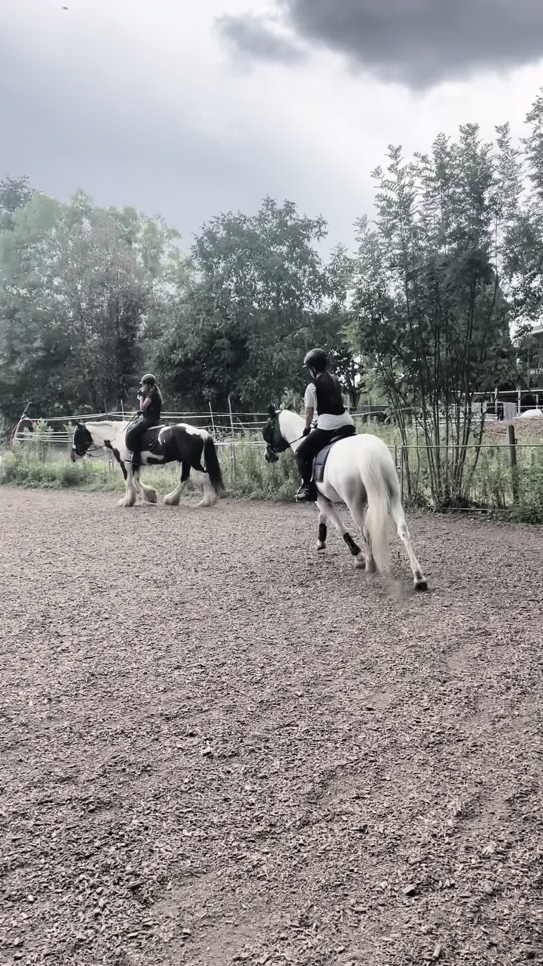 @𝑨𝒎𝒆𝒍𝒊𝒆🤍