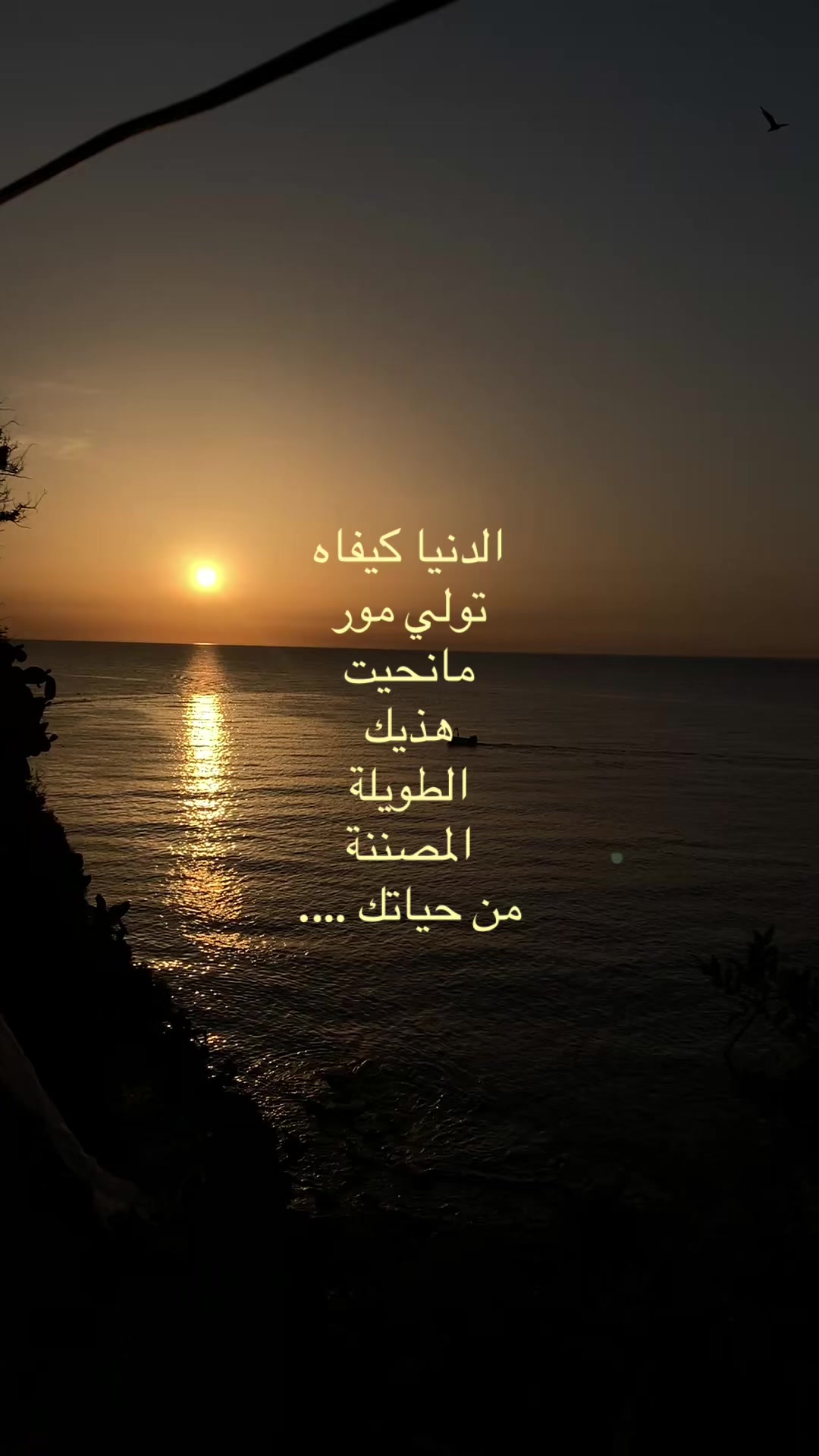 @هَاوْزَنْ