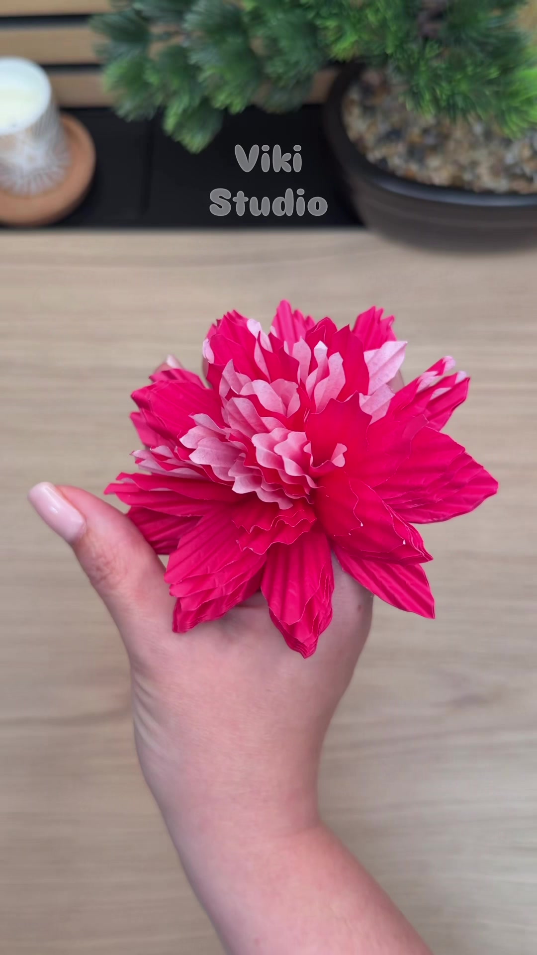@vikistudio.tutorials