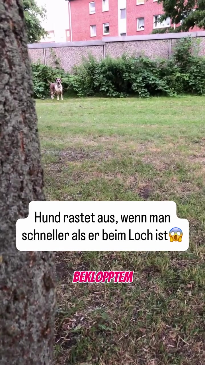 @XXLBALU