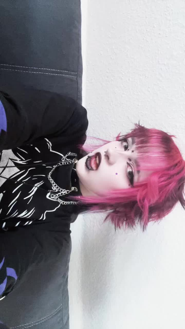 @raccoon_diaries