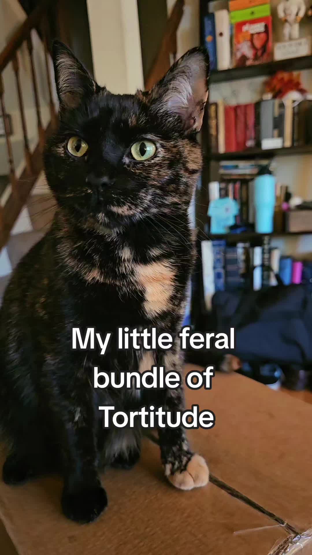@BibleTeacher89