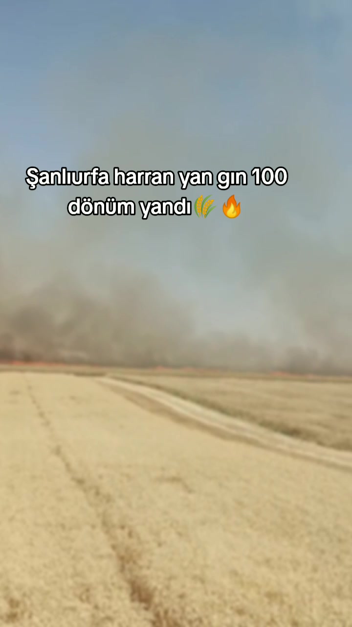 @Halil İbrahim Becene🌀🦁