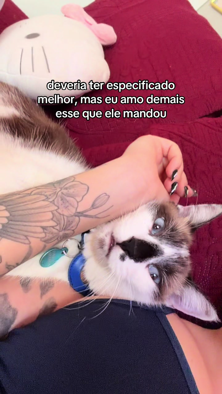 @Eduarda