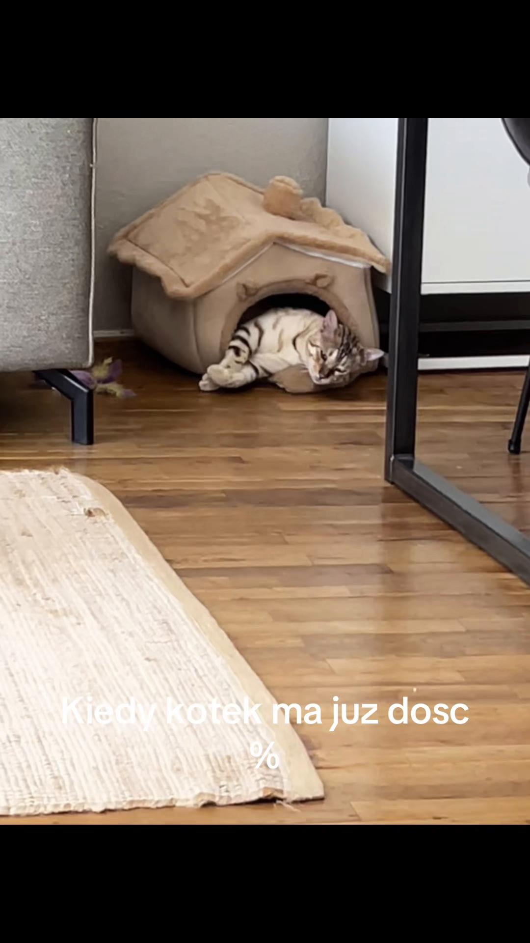 @🐱Aannja93🐱