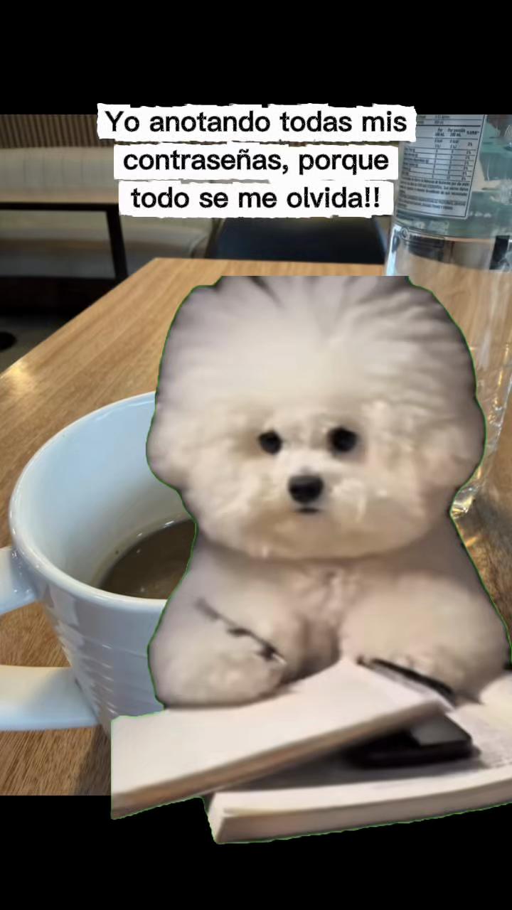 @ðð¹ð°Rositað¹ð°ðžðŒ ââð