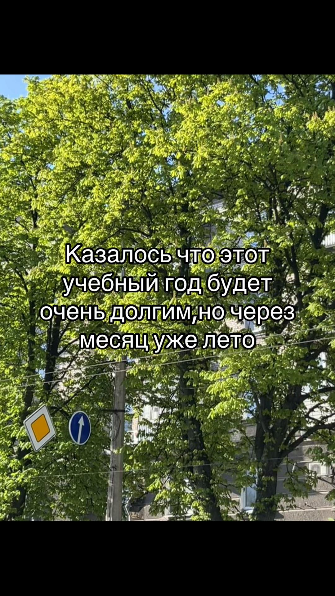 @veronichka🌷