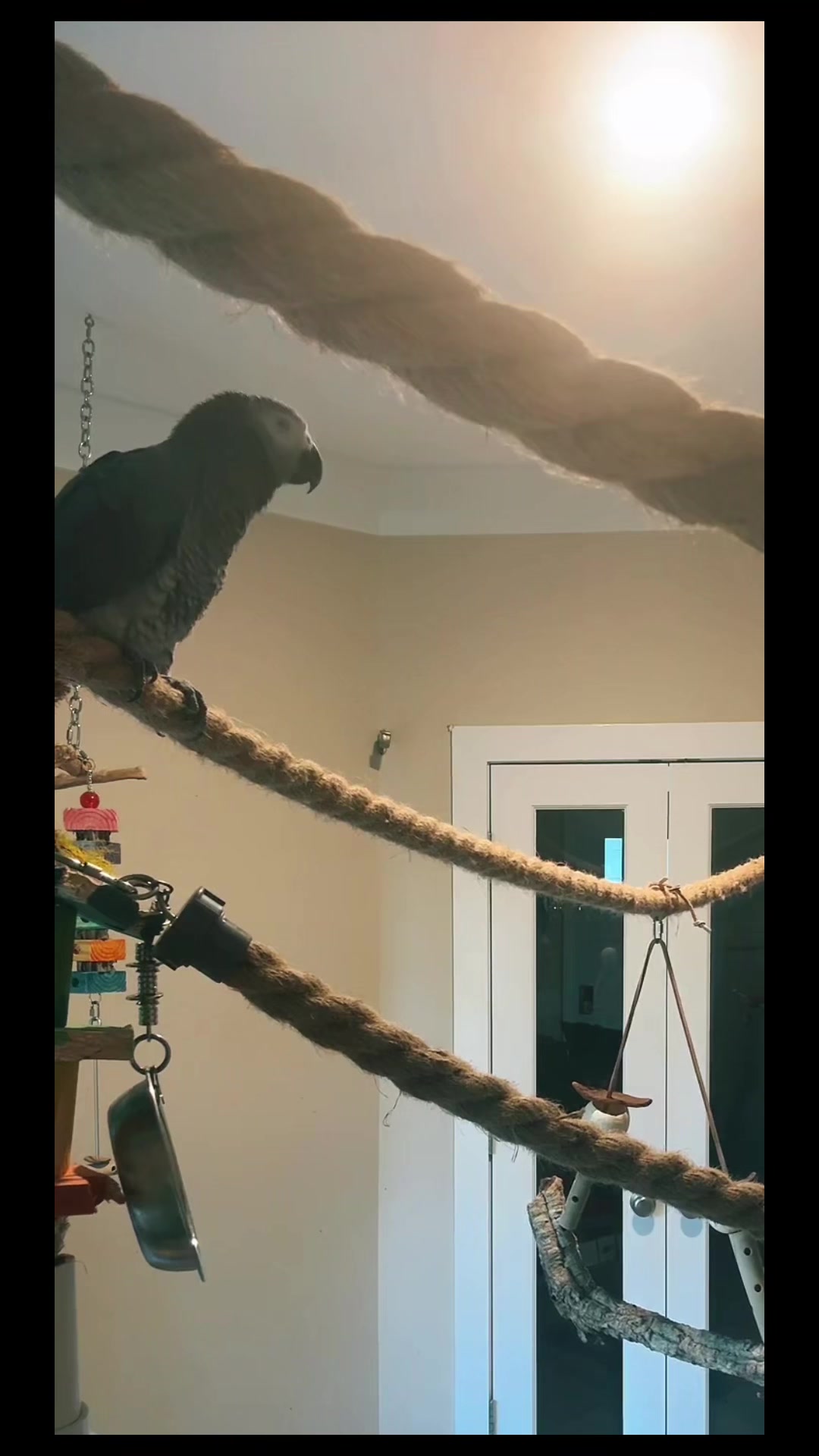 @thehinzoo