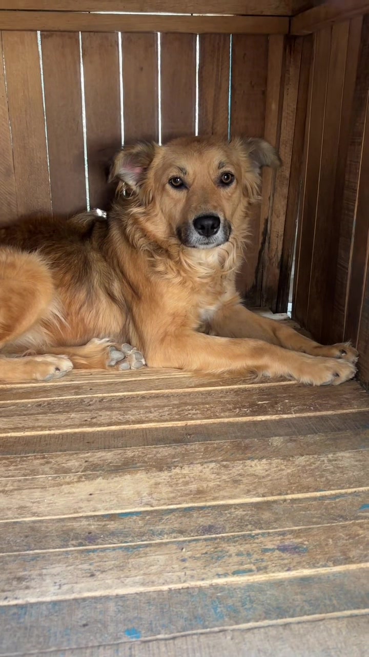 @Cómplices al rescate_11🐾