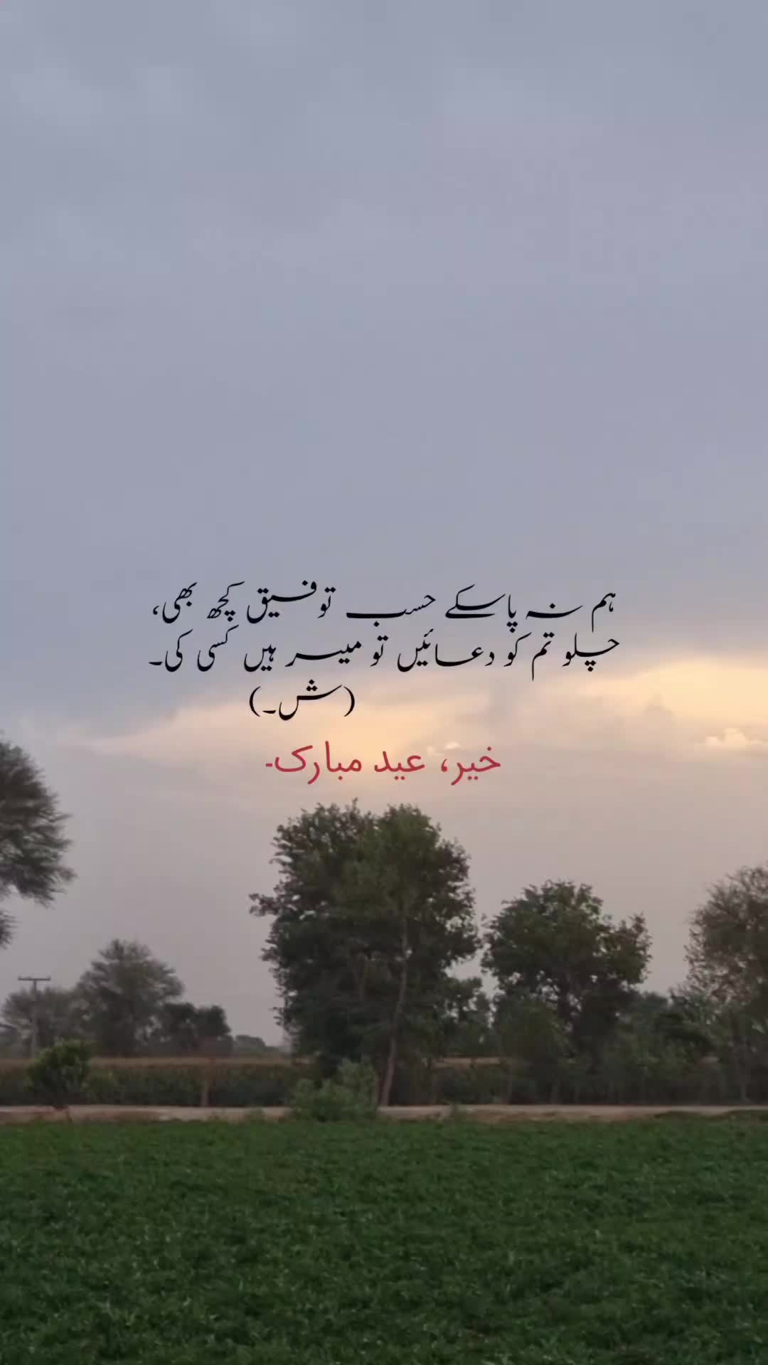 @Shehryar.