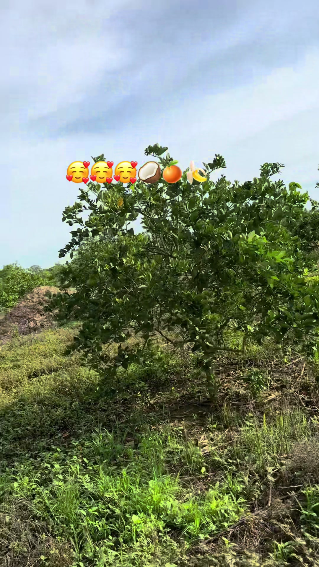 @🇭🇳CLARY🫶👌🇭🇳