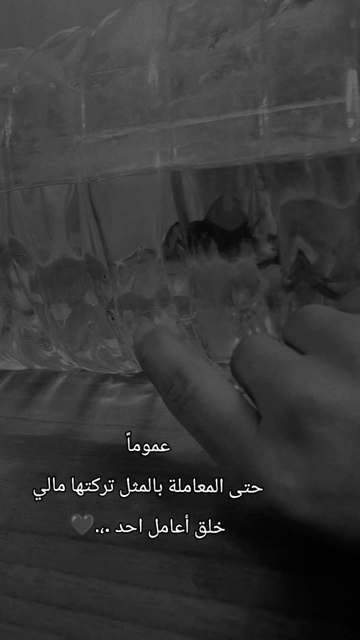@𝒜𝒾𝒹𝒶
