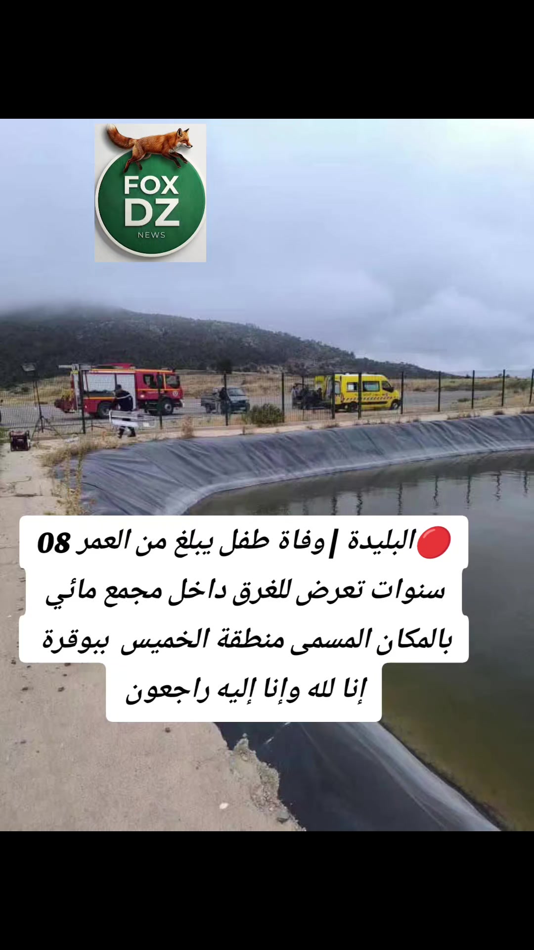 @🇩🇿FOX🦊 DZ🇩🇿