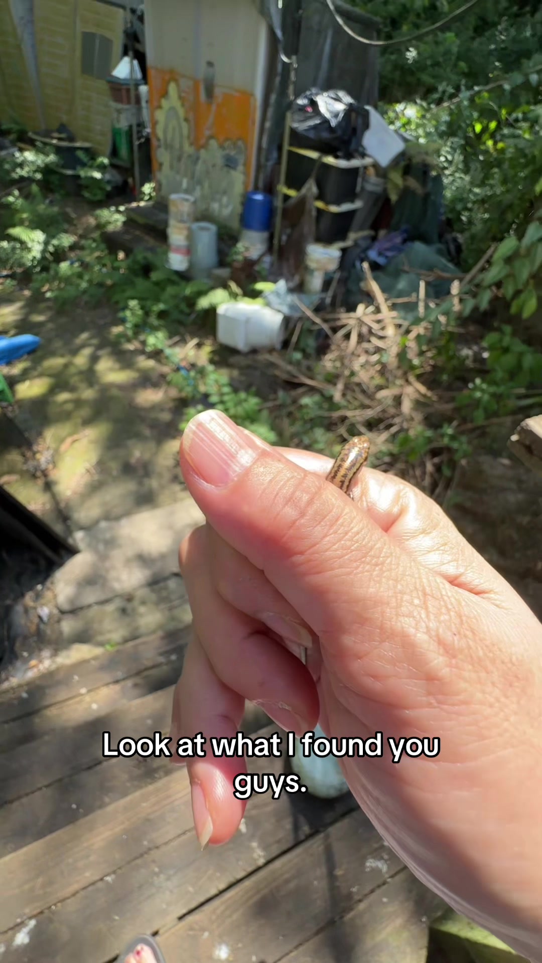@Kaori