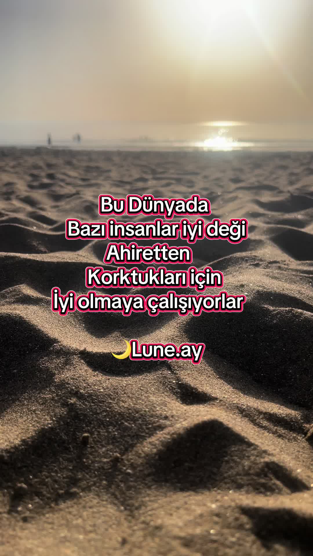 @🌙Lune.ay
