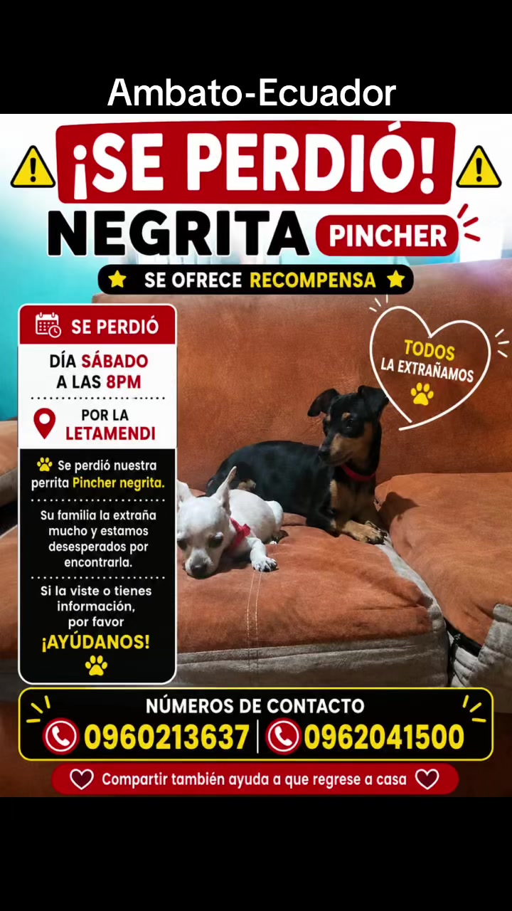 @Amigoscaninos_Ambato