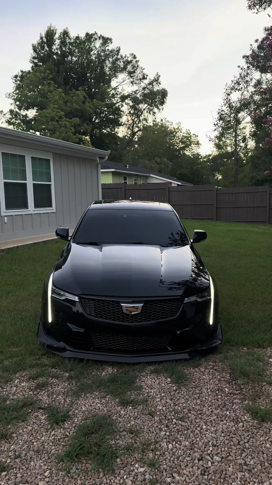 @blackoutt.v 🦇