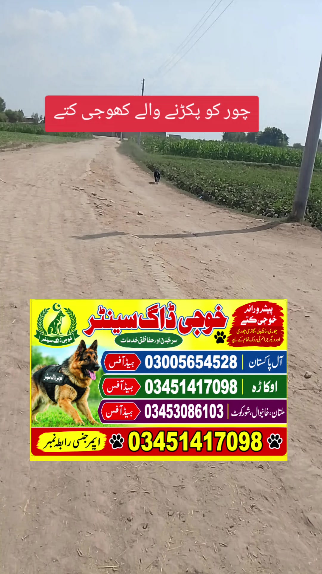@khoji dog contact number