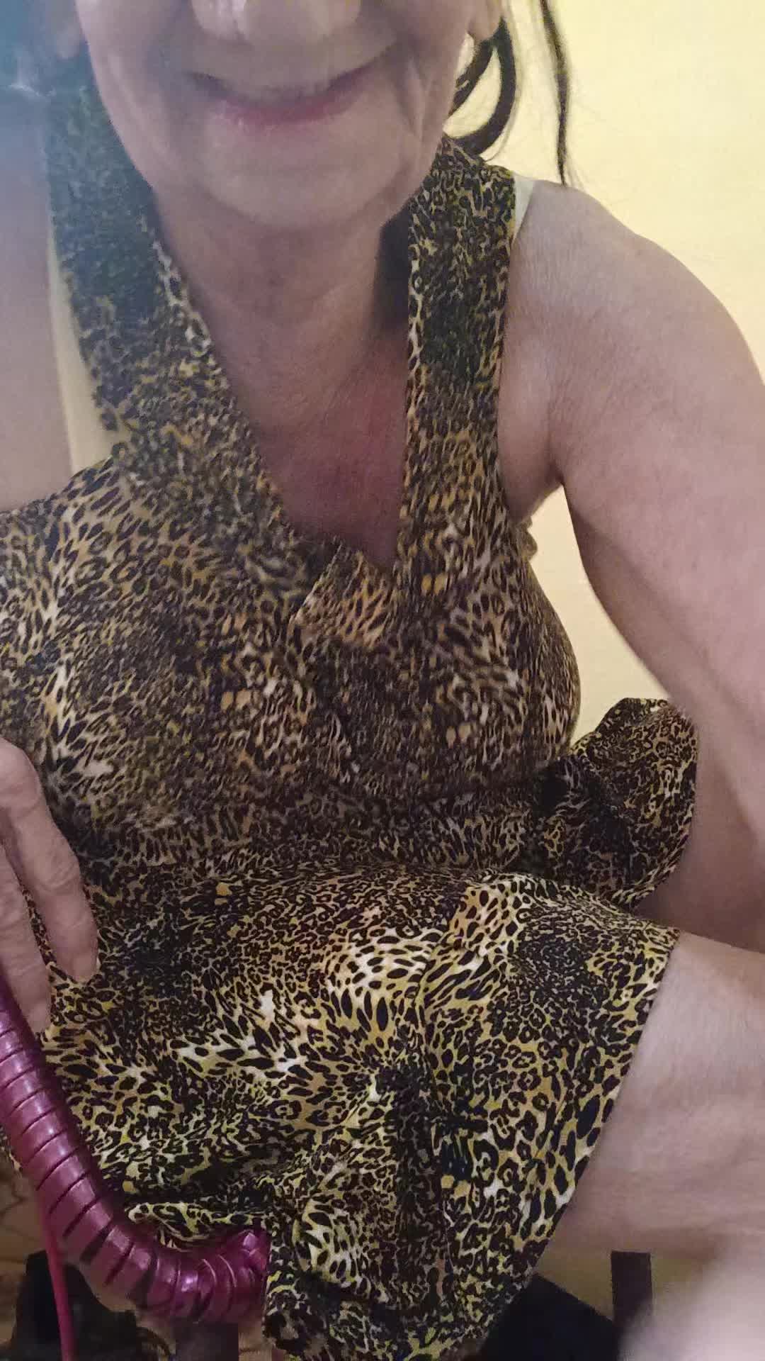 @dilzarodrigues657