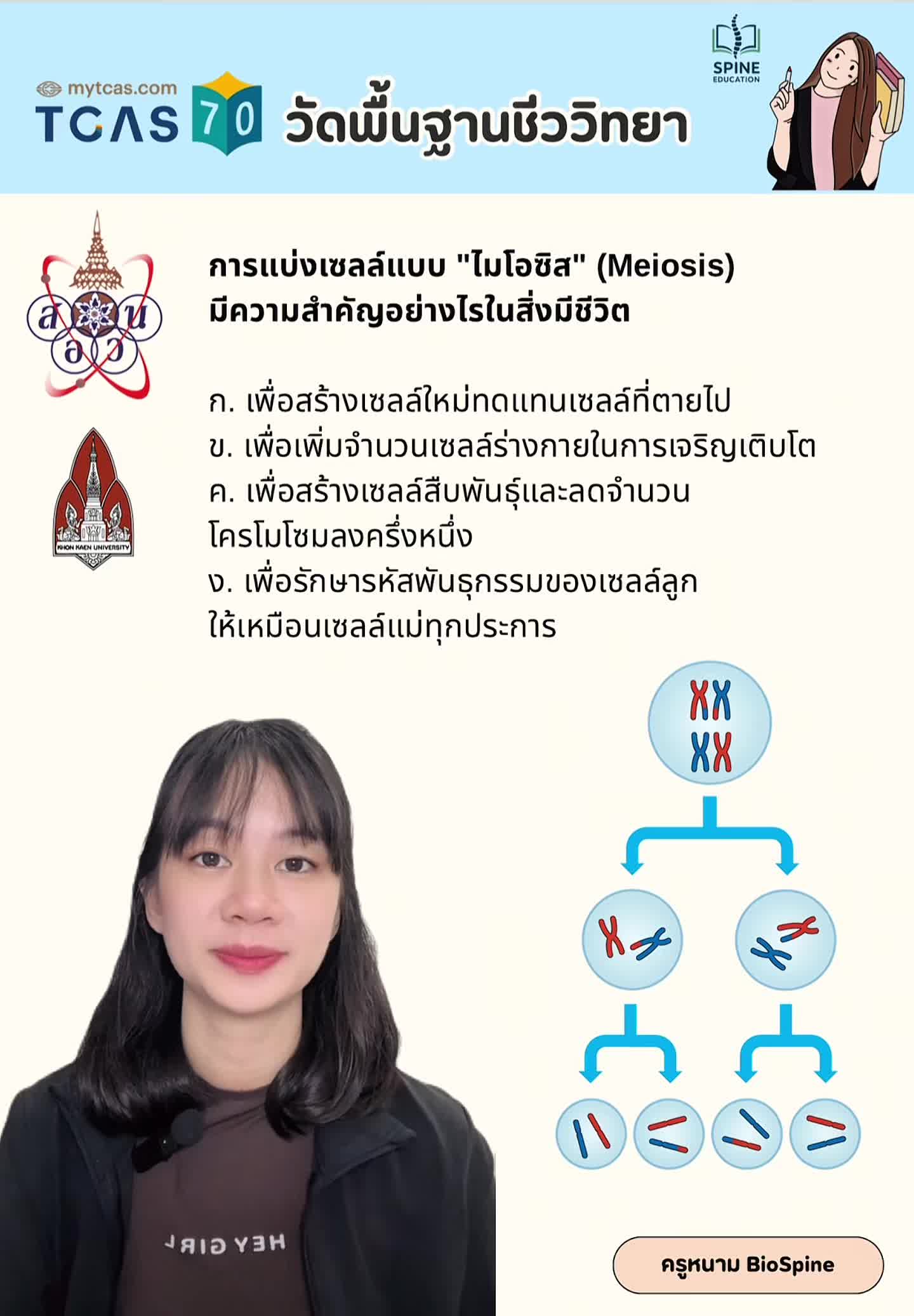 @Biospine by ครูหนาม