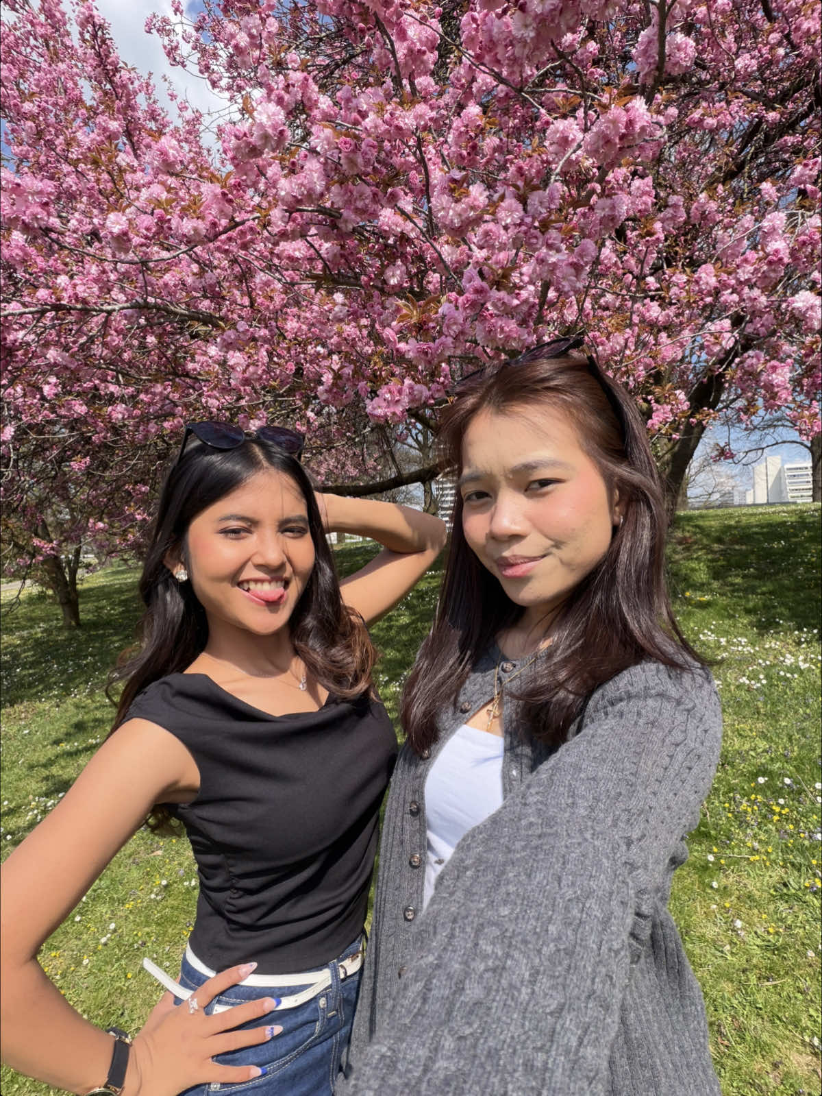 @🦋alincess🦋