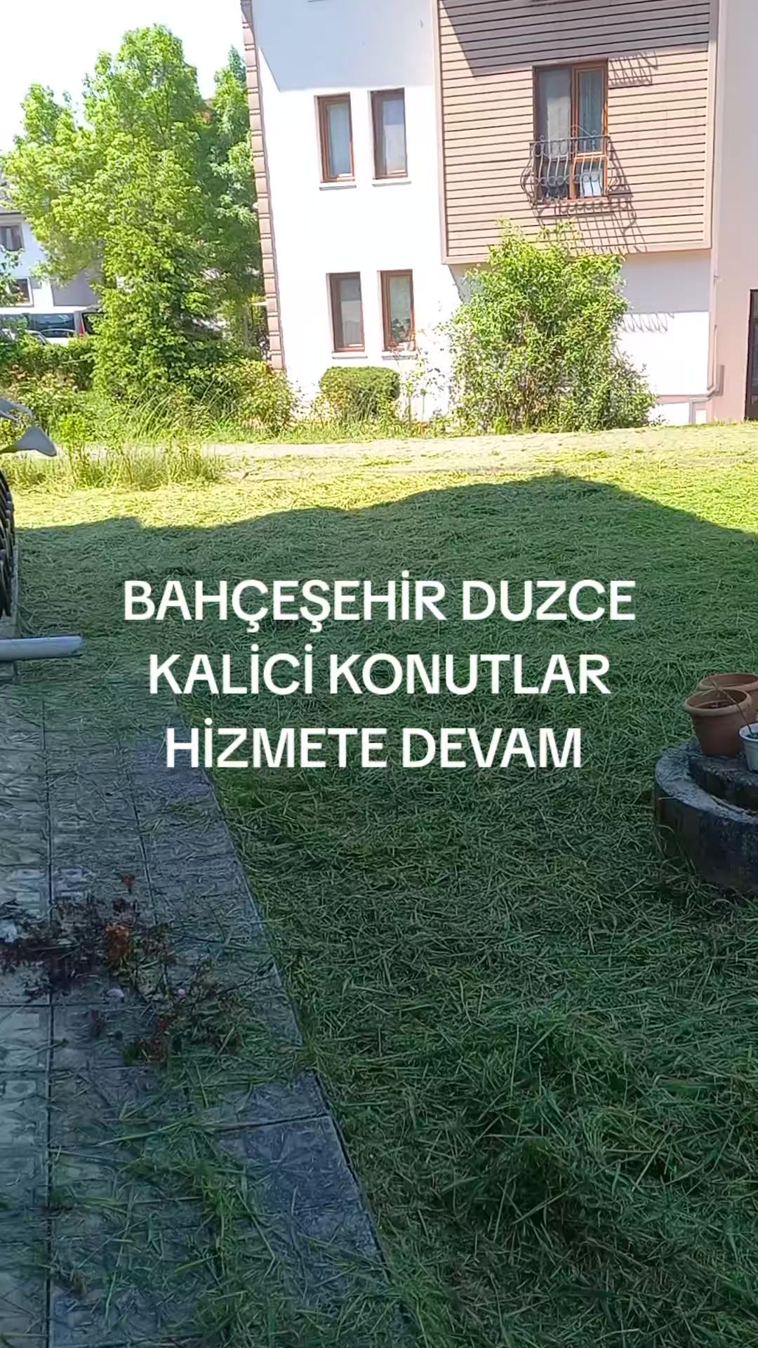 @81 D&uuml;zce