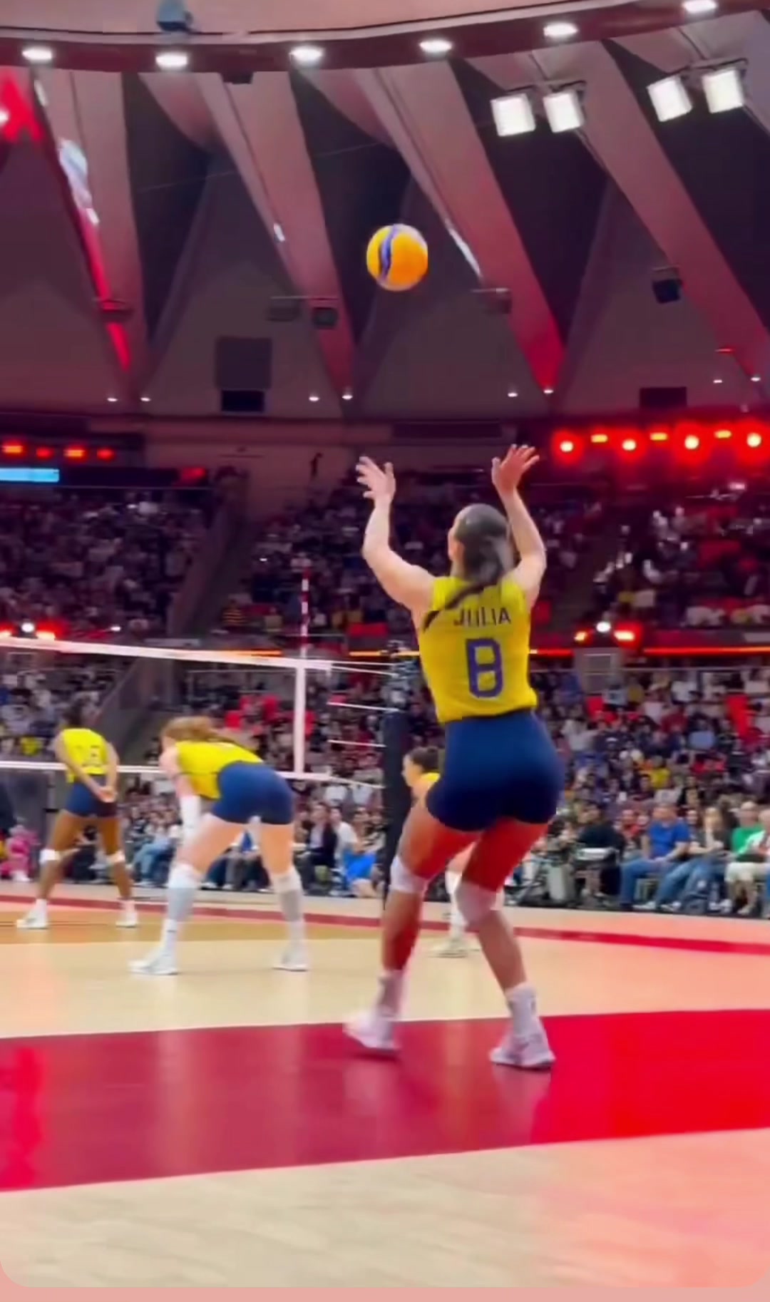 @cortesvolei7