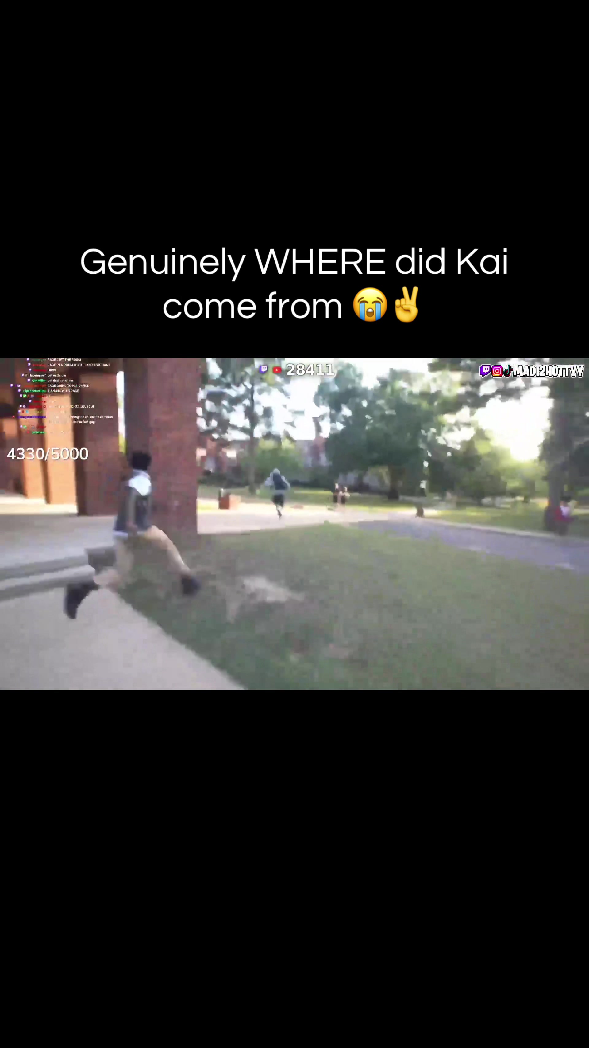 @Beezinthechat