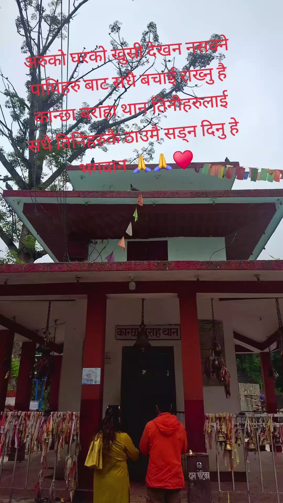 @Yashoda Dangi Shrestha Yashoda