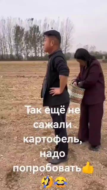 @vlady