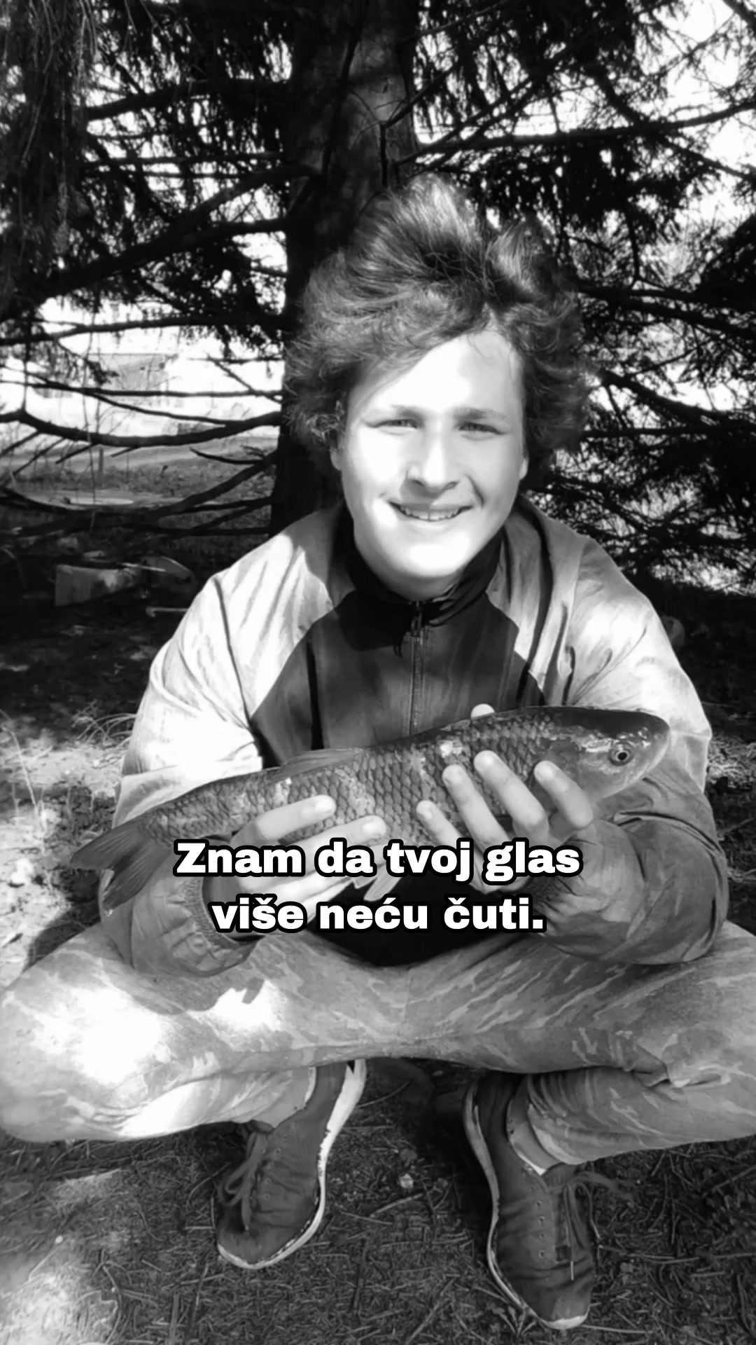 @telegrafrs