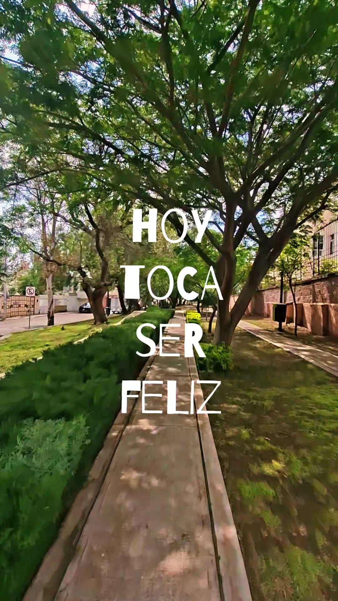 @Lzp xx