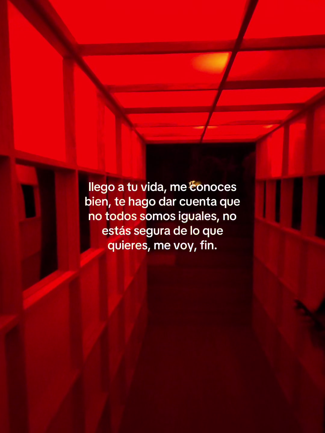 @Angel Lara