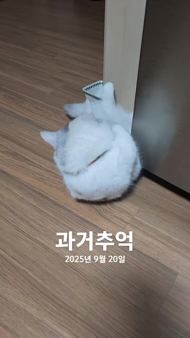 @박씨 거실