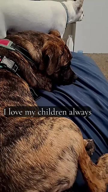 @Christal McCune72❌️