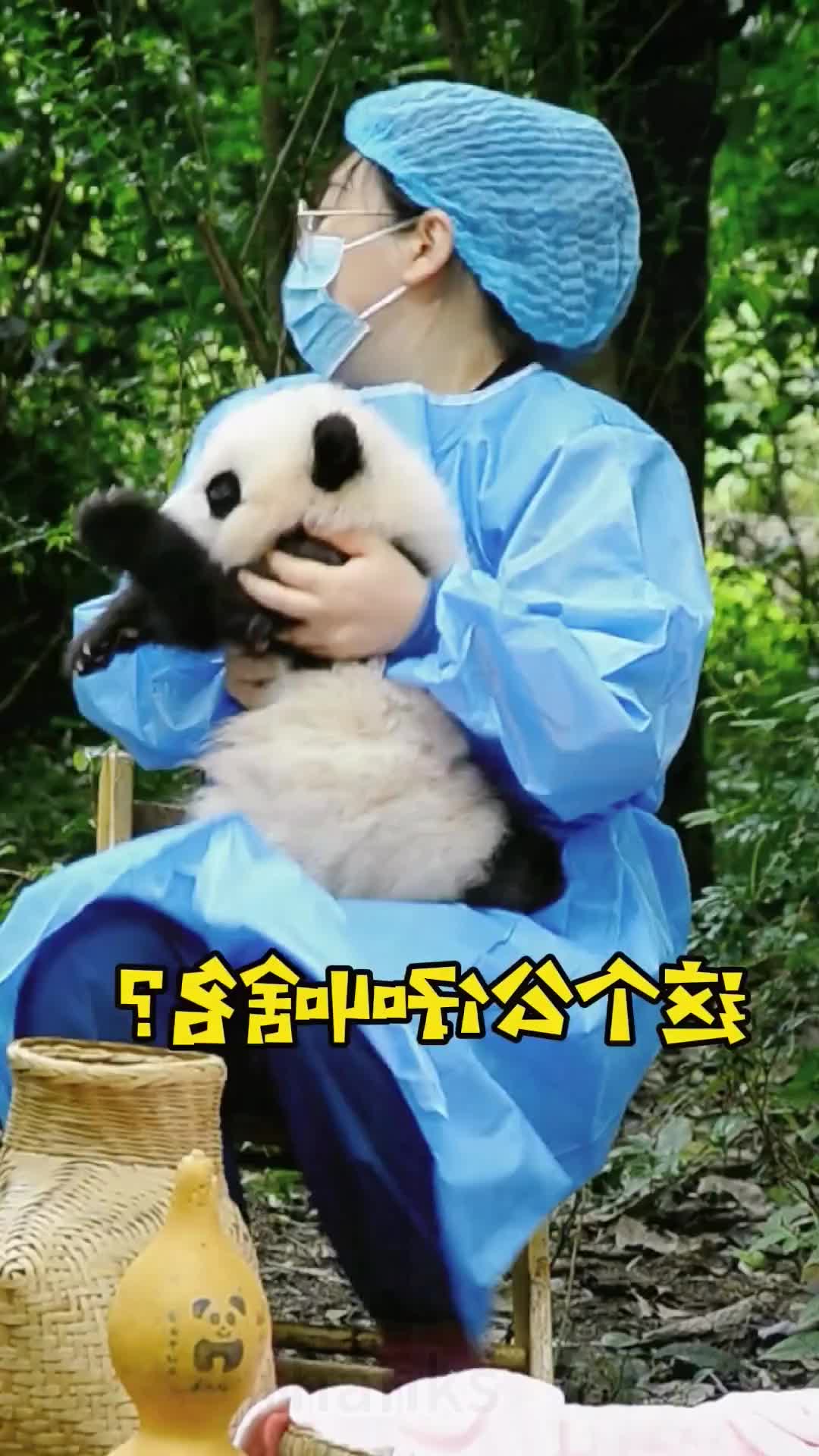 @tionpionr
