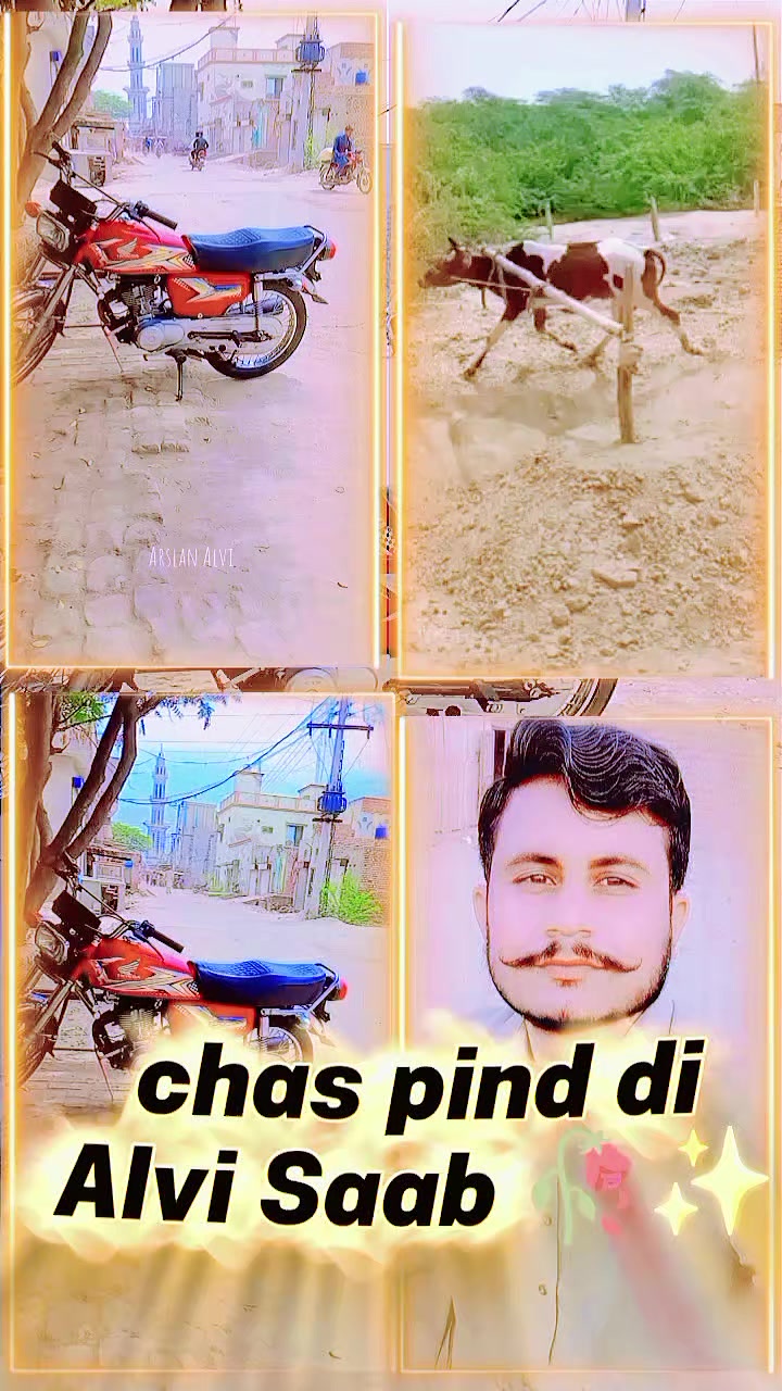 @🇵🇰🇵🇰Arslan Alvi 🇵🇰🇵🇰