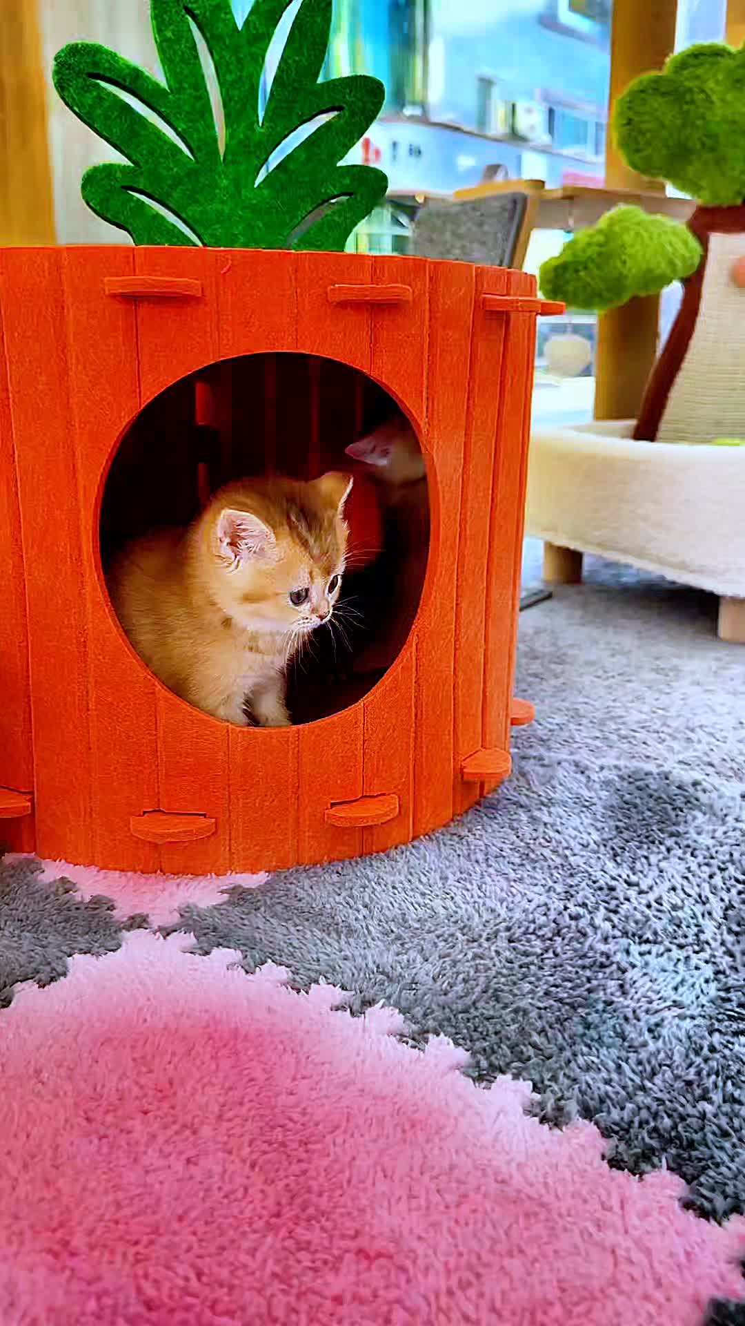 @핑발바닥은 못참는다냥🐱