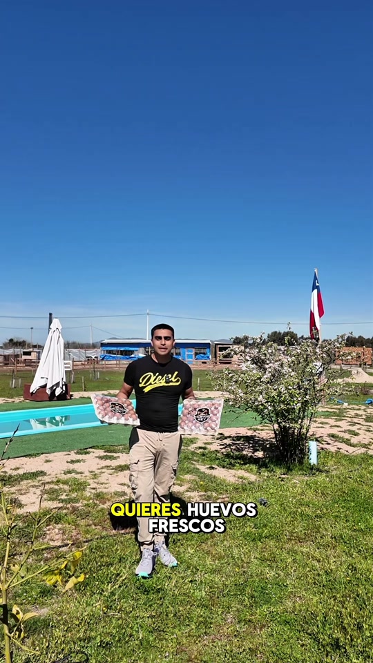 @Felipe miralles Tío Reycar