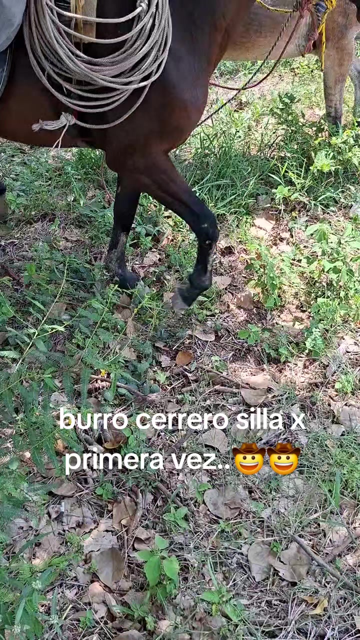 @Juan Altunar