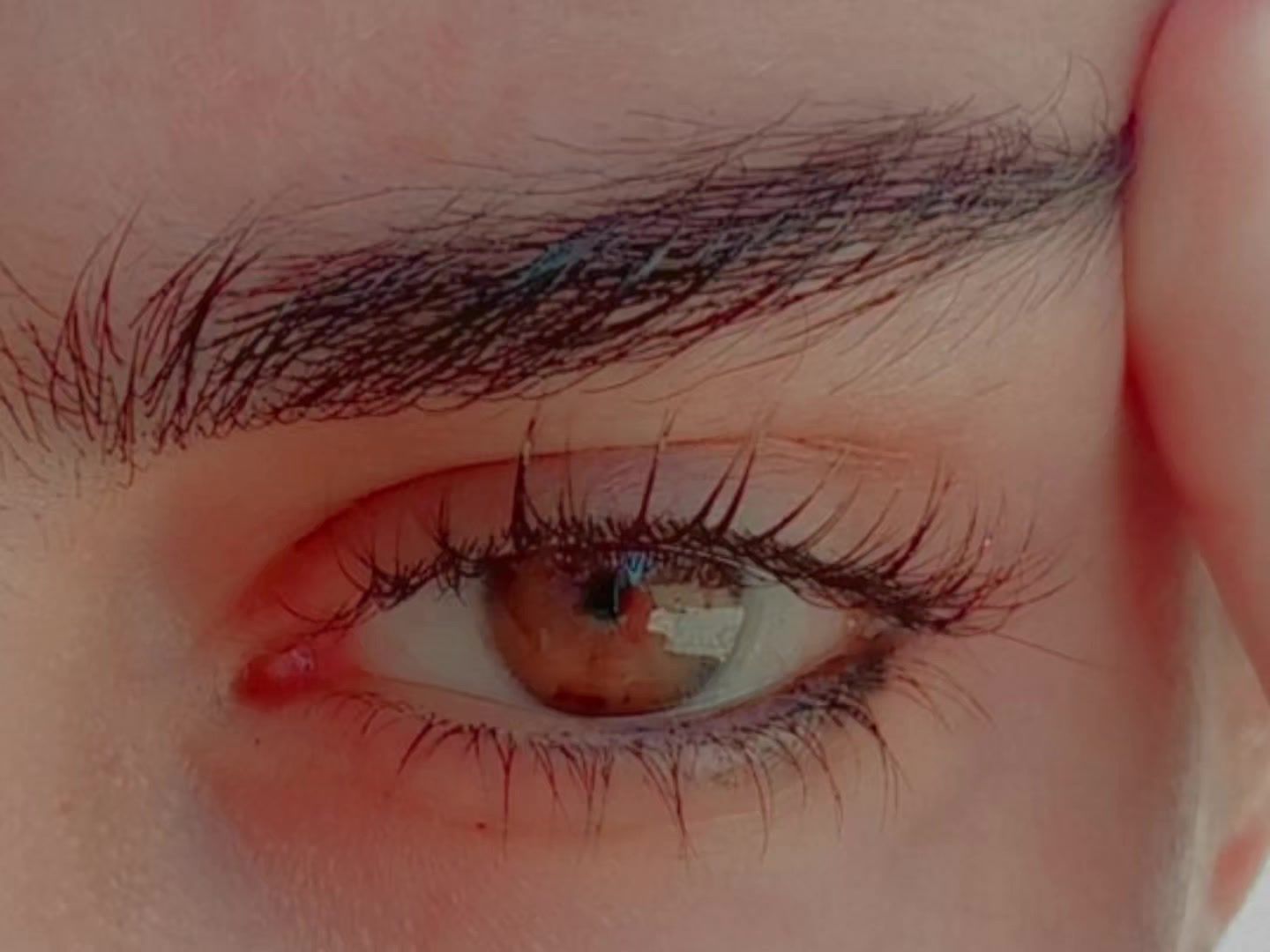 @𝓮𝓵𝓪 🦢