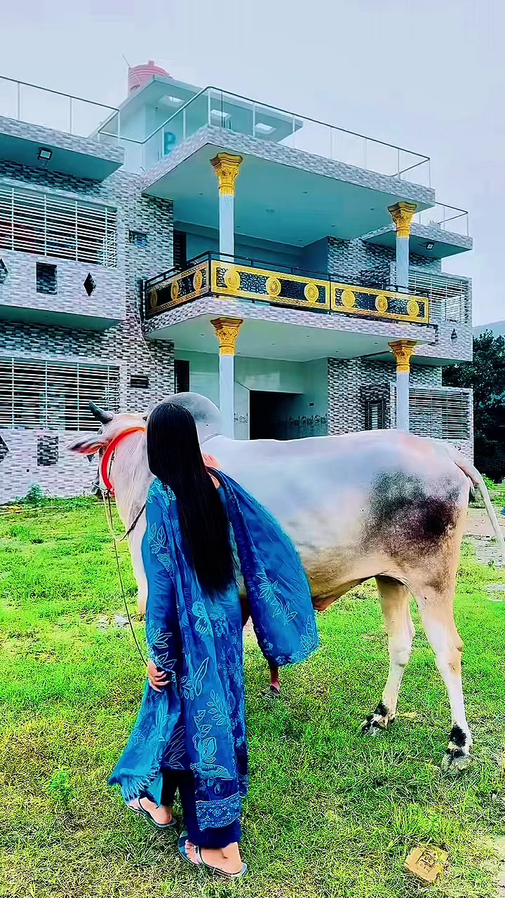 @đˇSumaiyađˇ