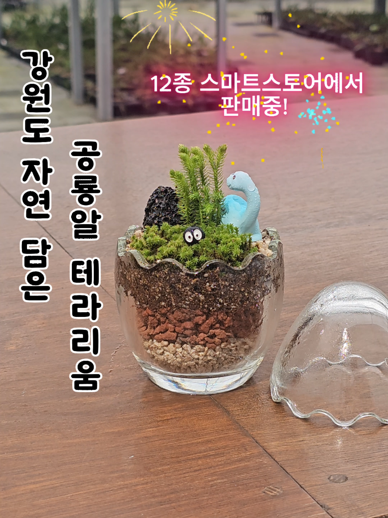 @식물의정석 가든센터