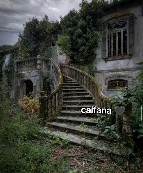 @lacaifana989