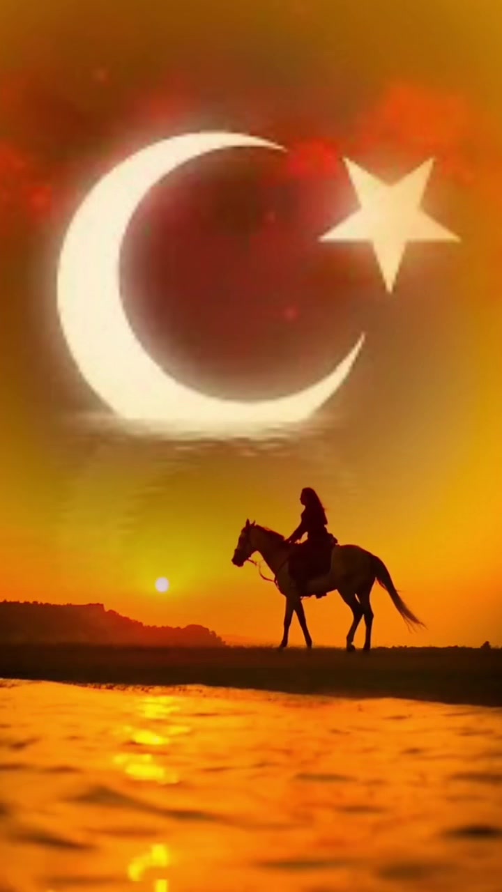 @ismailsahinoglu