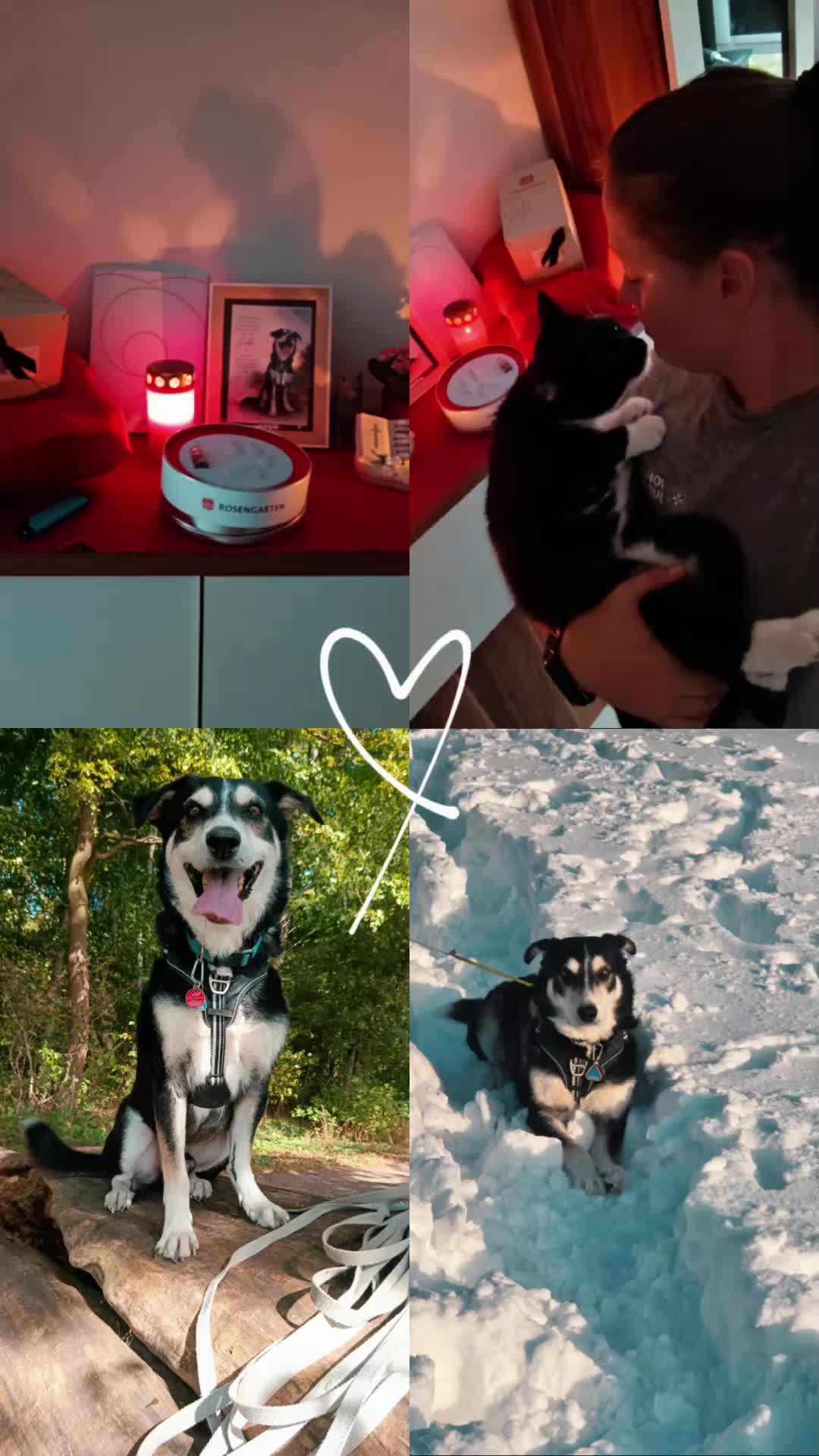 @Ride & Rescue